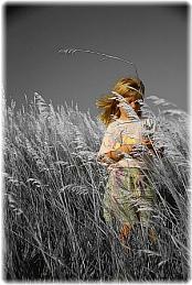 Photo Editing Sample 1